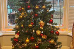 Decorating for Christmas