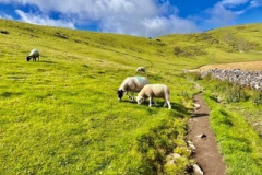 sponsored-walk-care-home-rotherham-4